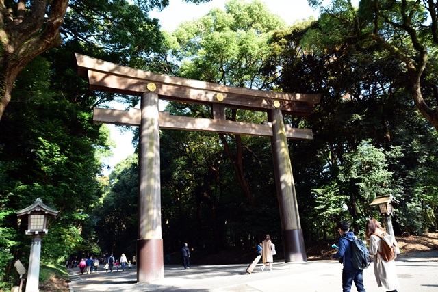 f0373905_2042065.jpg