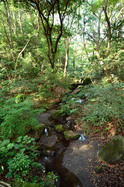 f0373905_20503241.jpg
