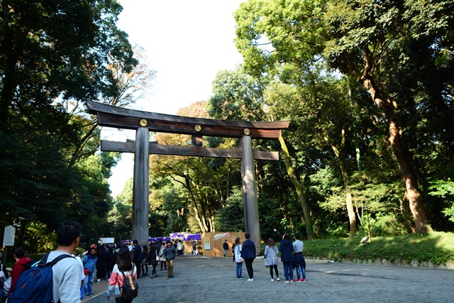 f0373905_20513542.jpg