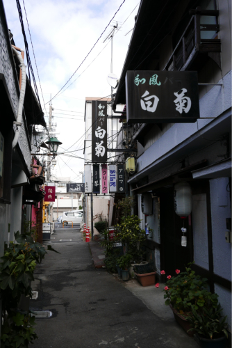 復興の町を歩く 前橋・伊勢崎・宇都宮（群馬県・栃木県）_d0147406_20352080.jpg