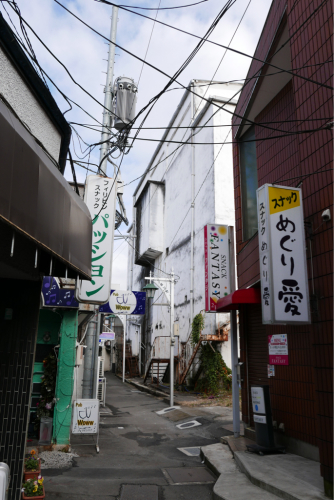 復興の町を歩く 前橋・伊勢崎・宇都宮（群馬県・栃木県）_d0147406_20352232.jpg