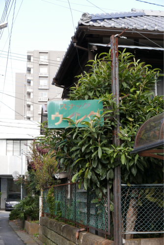 復興の町を歩く 前橋・伊勢崎・宇都宮（群馬県・栃木県）_d0147406_20460134.jpg