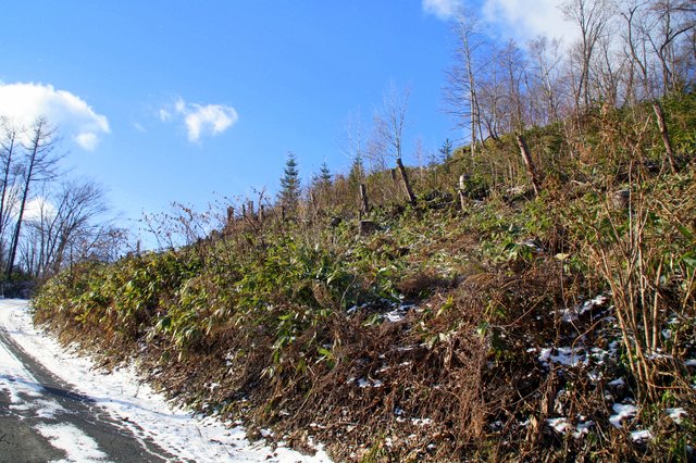 a0345007_11112057.jpg