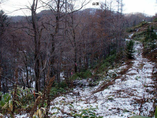 a0345007_11133654.jpg