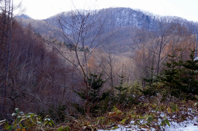 a0345007_1113884.jpg