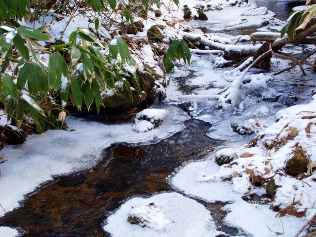 a0345007_11141899.jpg