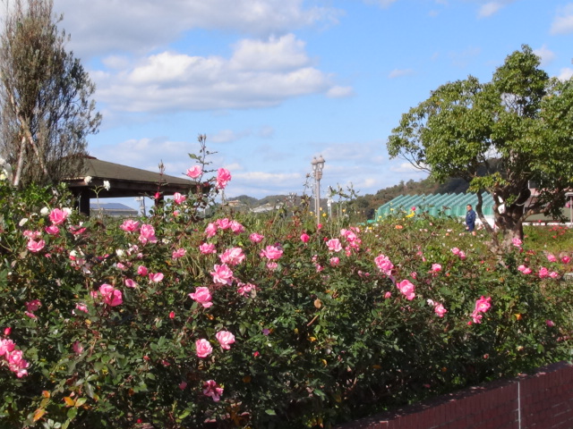 f0231709_20255881.jpg