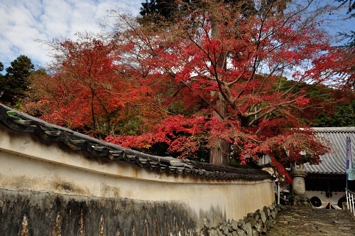 宝積寺_d0098810_22144016.jpg