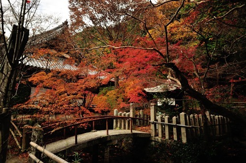 宝積寺_d0098810_22144328.jpg