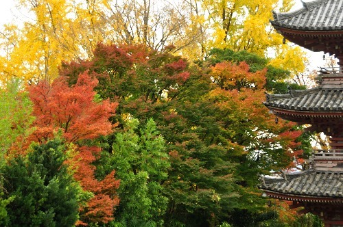 宝積寺_d0098810_22144413.jpg