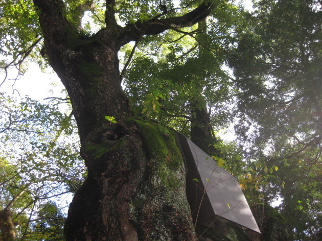 b0183111_11370225.jpg