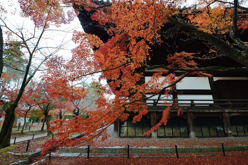 f0032011_17291235.jpg