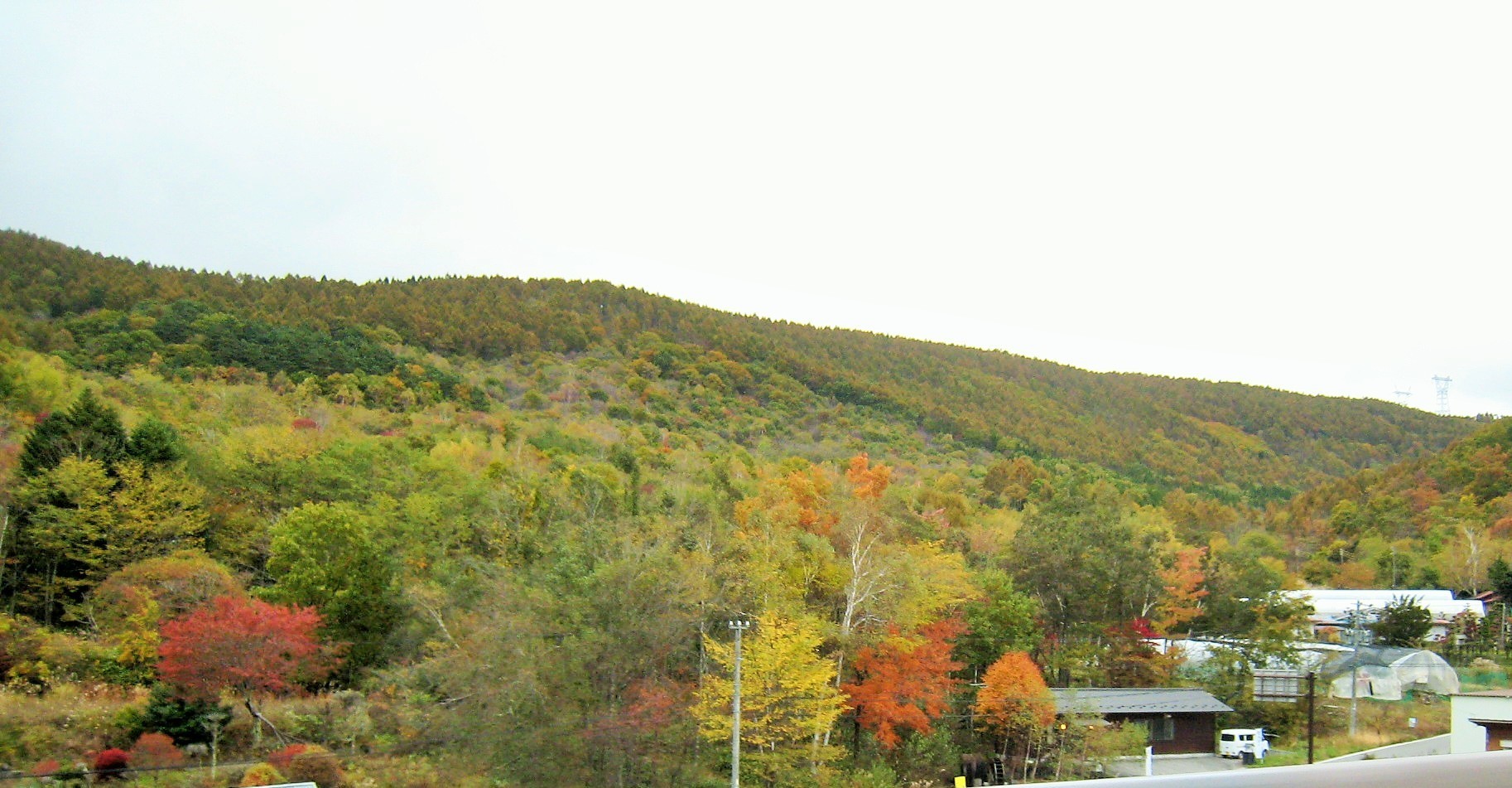 f0032812_15205424.jpg