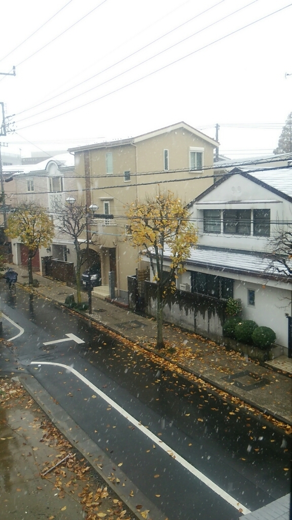 b0133713_10120911.jpg