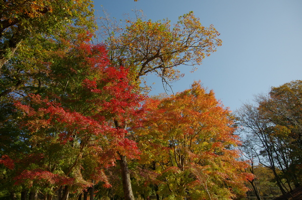 c0022113_16204560.jpg