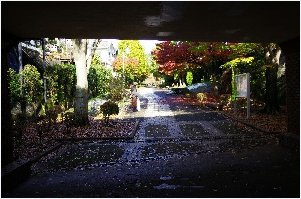 散歩道から_c0352813_10101118.jpg