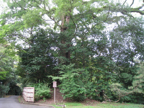 d0287413_142526.jpg