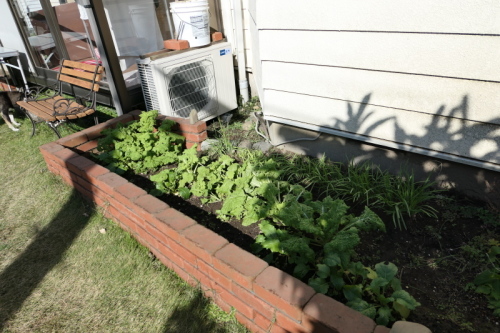 f0369014_14121333.jpg