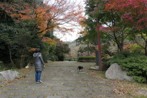 f0369014_19073963.jpg