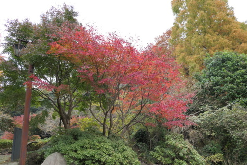 f0369014_19081232.jpg