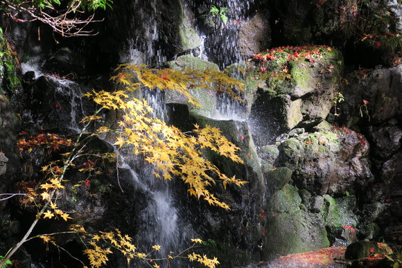 河口湖パワーショットで。_b0093515_17442174.jpg