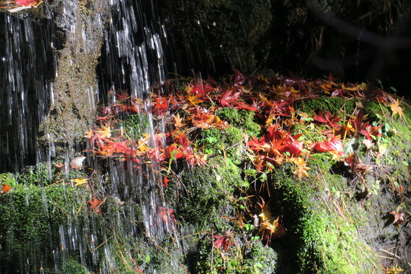 b0093515_17461928.jpg