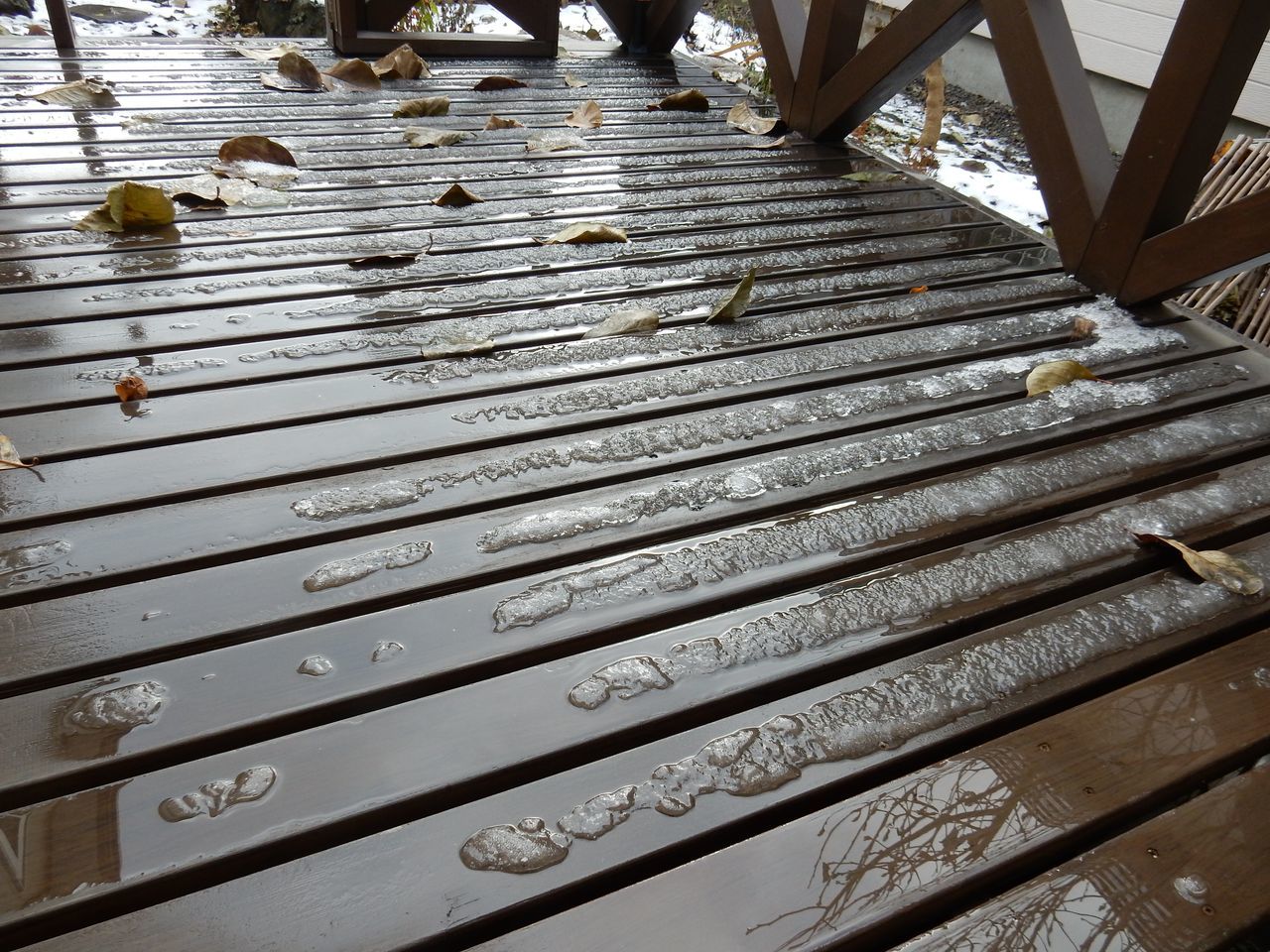 いきなりの最高気温9.1℃_c0025115_21091888.jpg