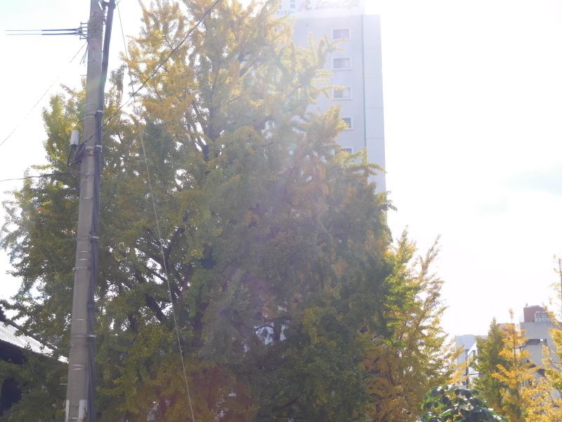 a0125419_06322514.jpg