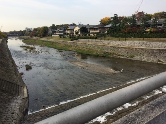 水ようかん&京都旅行⑨_f0320020_08454560.jpg