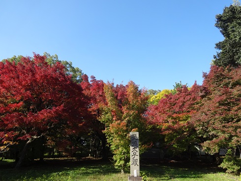 f0000521_9464160.jpg