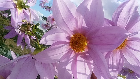 c0280322_13573194.jpg