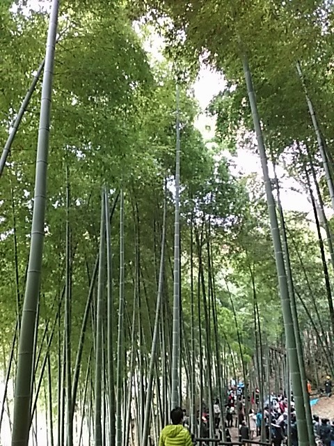 f0354923_21320632.jpg