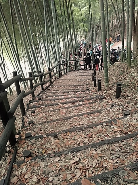 f0354923_21345207.jpg