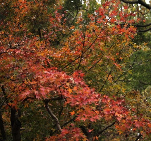 f0354923_22265621.jpg