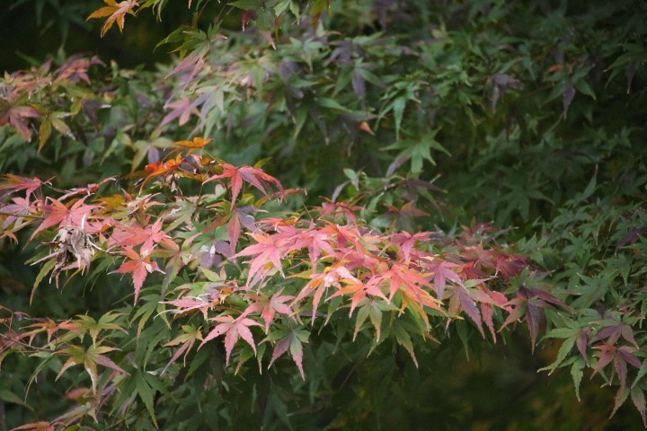 f0354923_22271709.jpg