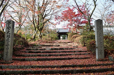 千早赤阪村　西恩寺の紅葉_a0262928_203191.jpg