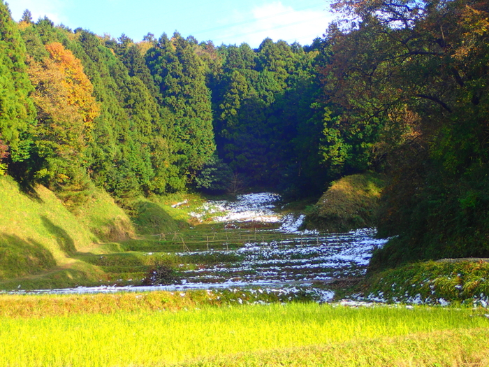 c0034029_12591295.jpg