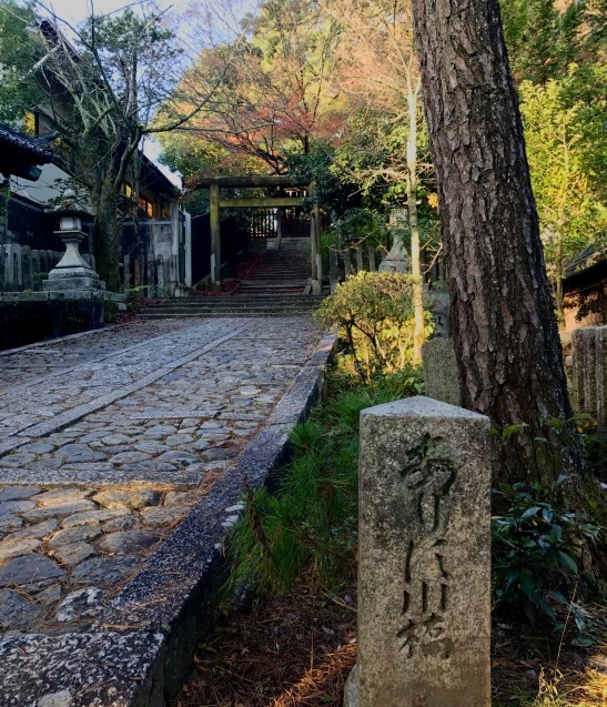 今宮神社 朝散歩 昨日の続き_e0358130_08125682.jpg