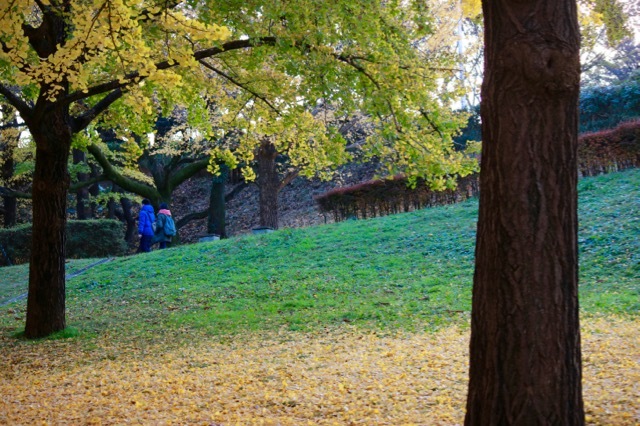 【保土ヶ谷公園】_f0348831_21370048.jpg