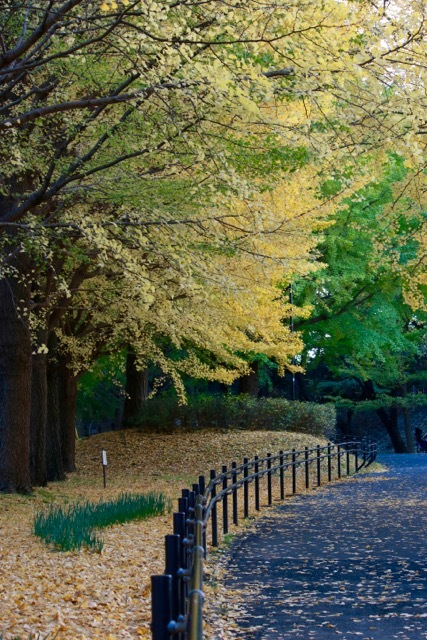 【保土ヶ谷公園】_f0348831_21370149.jpg