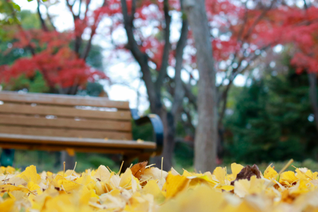 【保土ヶ谷公園】_f0348831_21370956.jpg