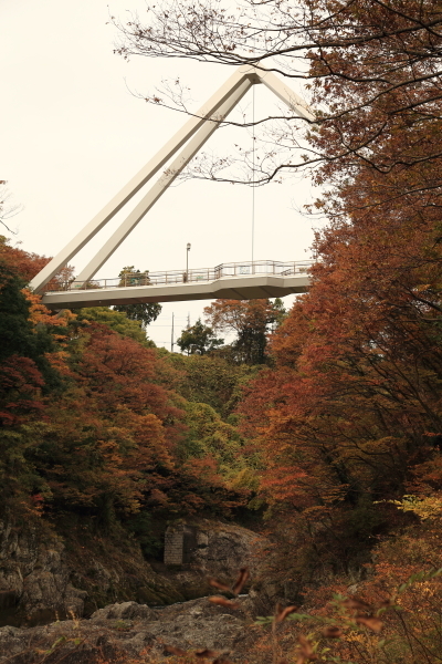 f0229832_13503866.jpg