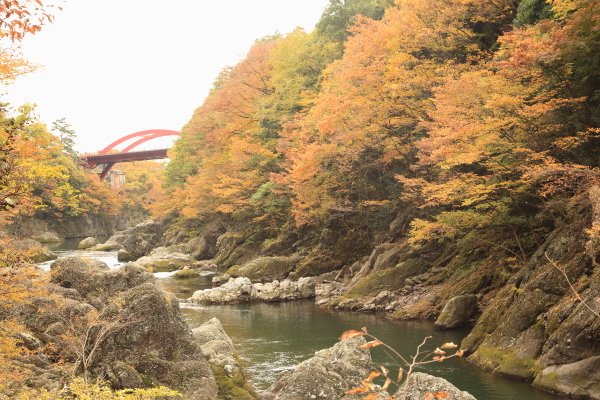 f0229832_13510871.jpg