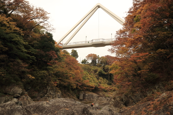 f0229832_13515361.jpg