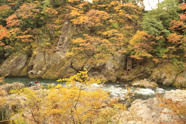 f0229832_13522483.jpg