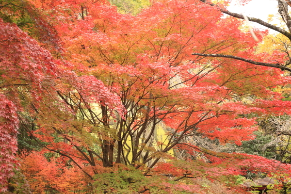 f0229832_13532202.jpg