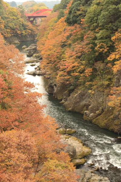 f0229832_13542389.jpg