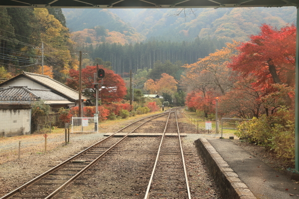 f0229832_13552387.jpg