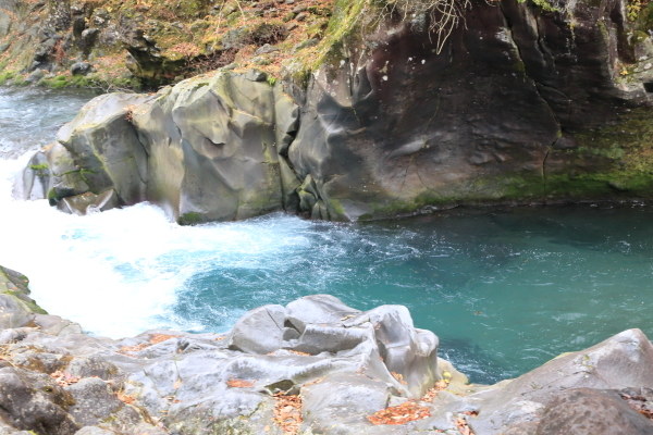 f0229832_14073908.jpg
