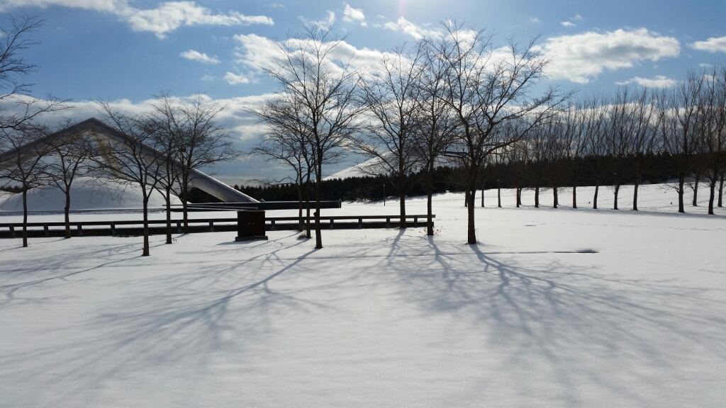 c0181134_01030207.jpg